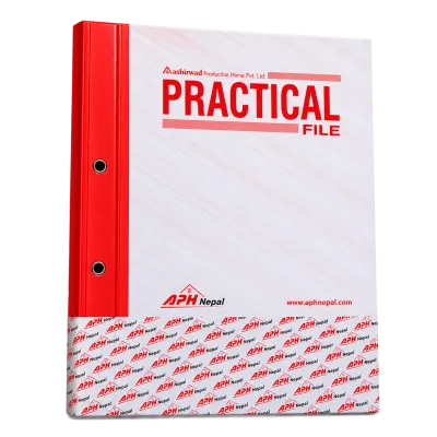 Pratical File 