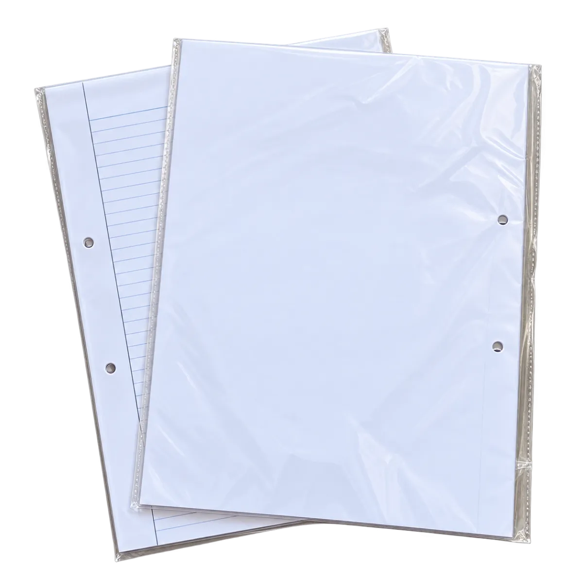 Bio Sheet