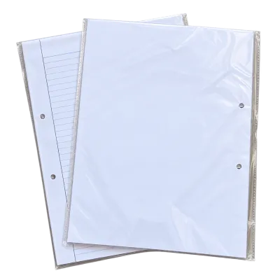 Bio Sheet