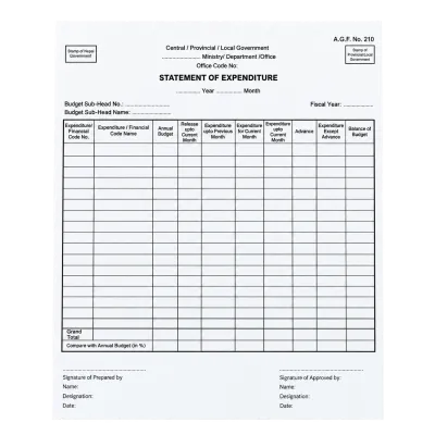 Statement Of Expenditure 