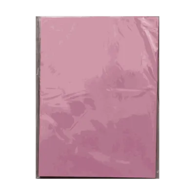 Colour A4 120gsm Paper (Pink)